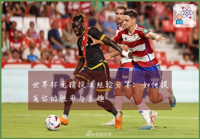 世界杯竞猜投注经验分享：如何提高你的胜率与乐趣