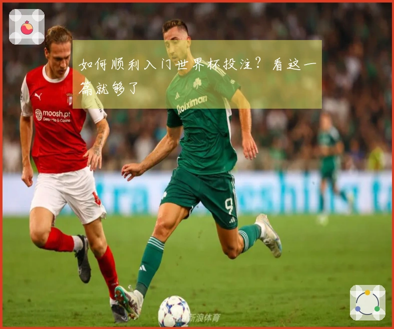 如何顺利入门世界杯投注？看这一篇就够了