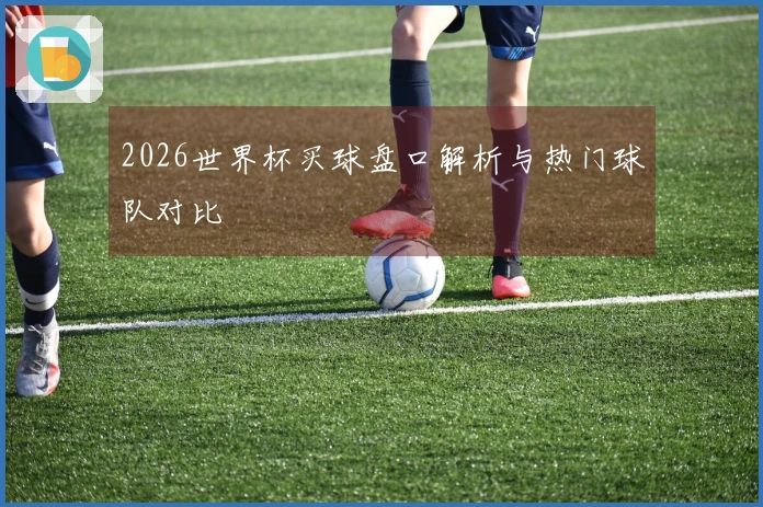 2026世界杯买球盘口解析与热门球队对比