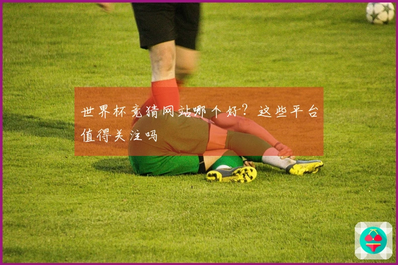 世界杯竞猜网站哪个好？这些平台值得关注吗