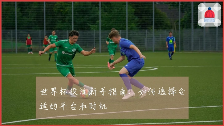 世界杯投注新手指南:如何选择合适的平台和时机