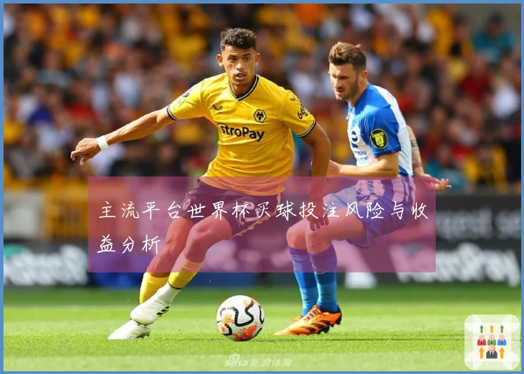 主流平台世界杯买球投注风险与收益分析