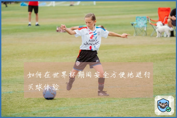 如何在世界杯期间安全方便地进行买球体验