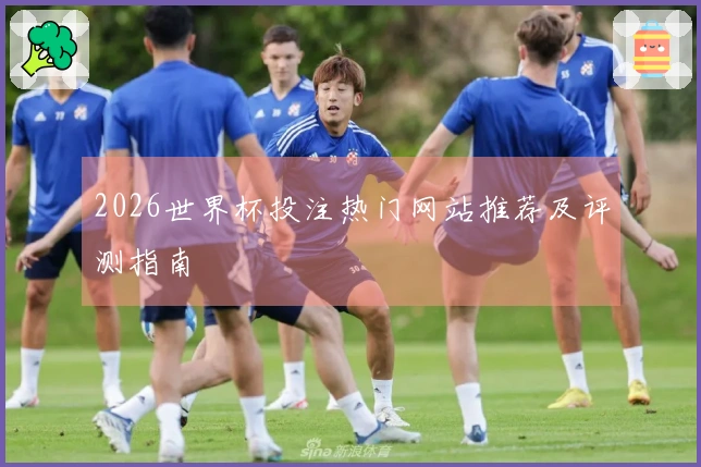 2026世界杯投注热门网站推荐及评测指南