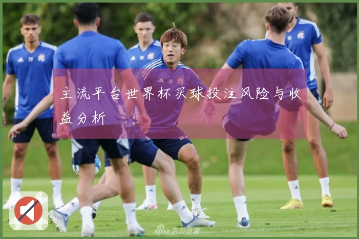 主流平台世界杯买球投注风险与收益分析