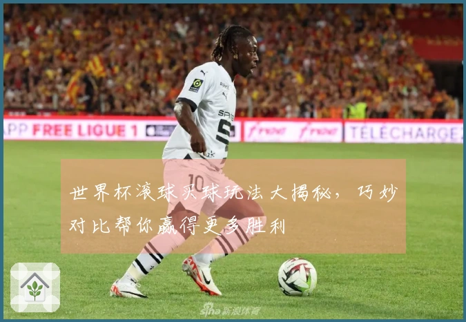 世界杯滚球买球玩法大揭秘，巧妙对比帮你赢得更多胜利