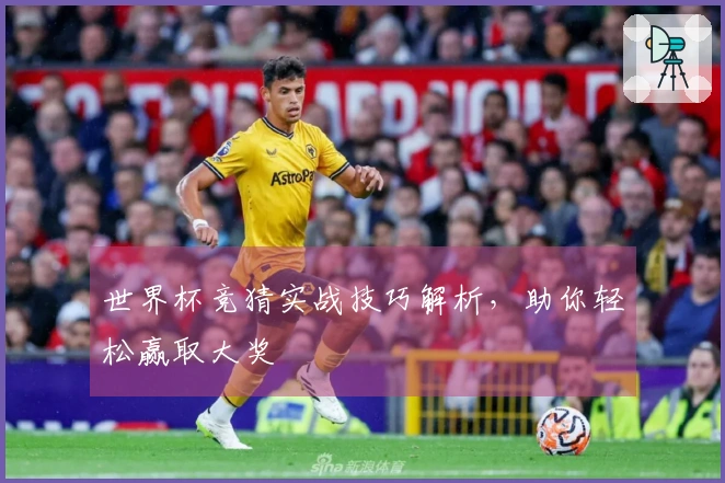 世界杯竞猜实战技巧解析，助你轻松赢取大奖